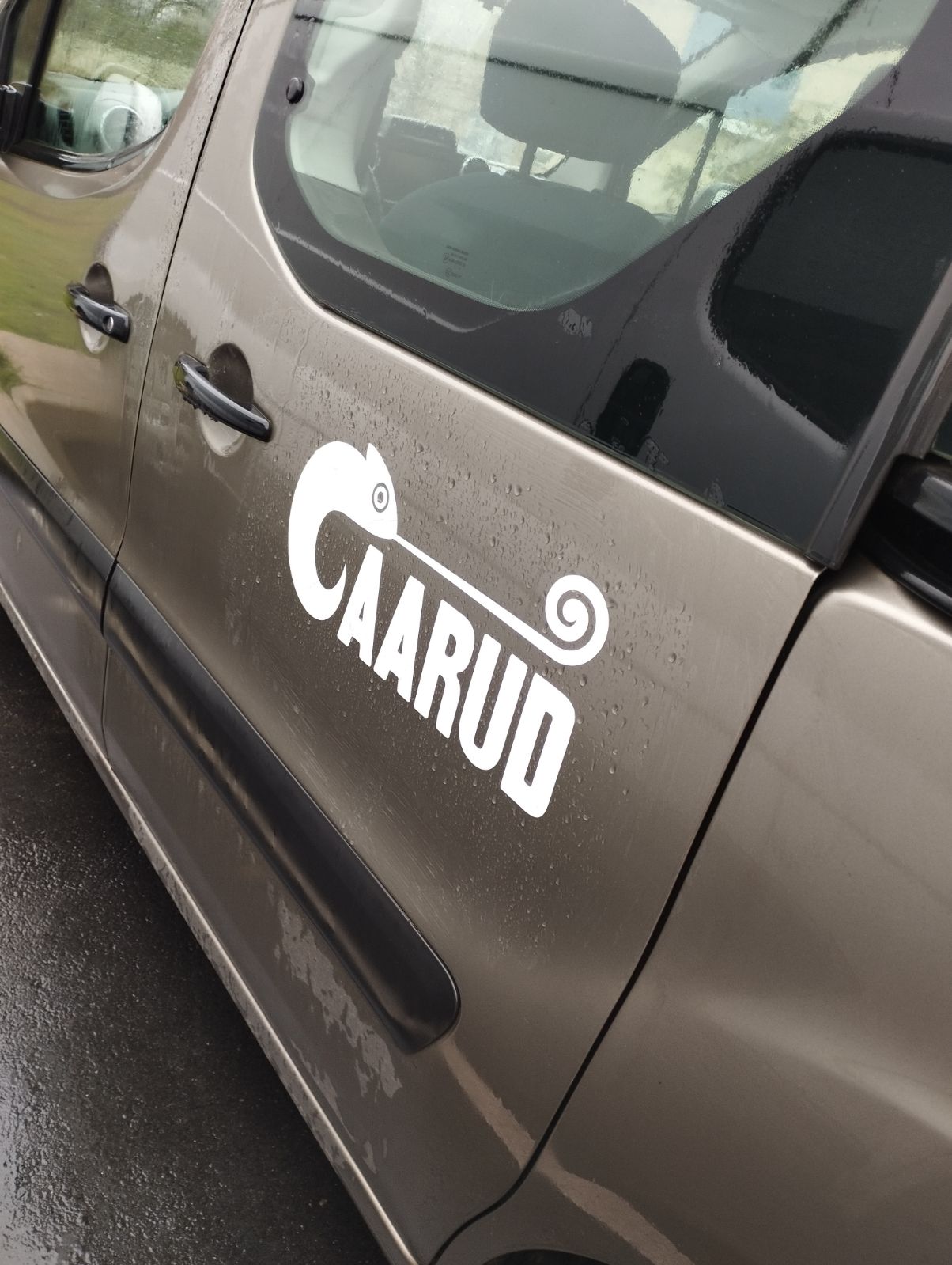 Logo CAARUD noir